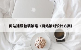 天水网站建设包装策略（网站策划设计方案）